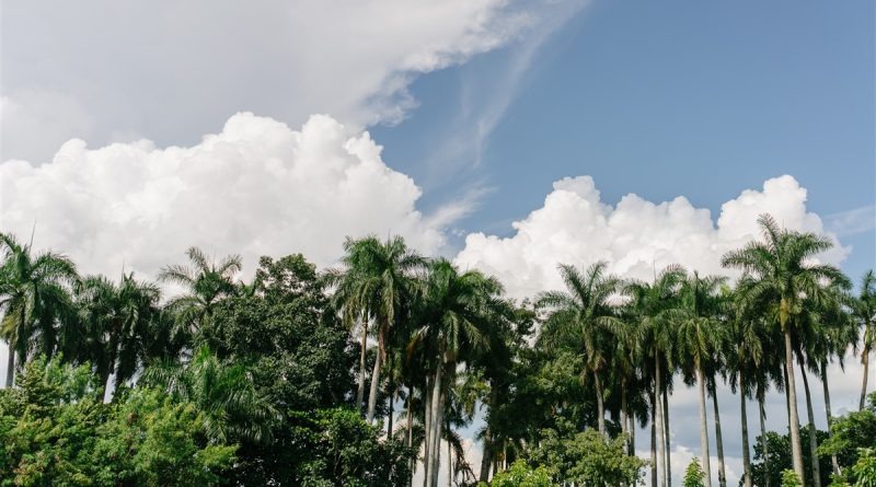 Voyager à Cuba